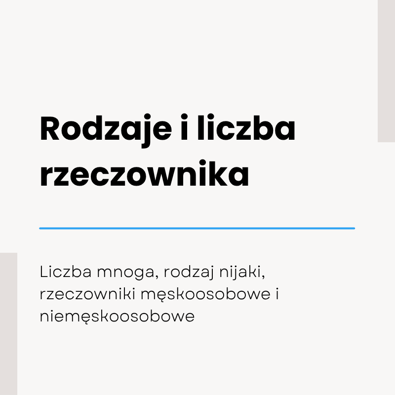 Rodzaj i liczba rzeczownika